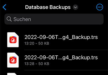 Datenbank Sicherung